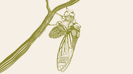 My Inner Cicada: Illustration Deep Dive