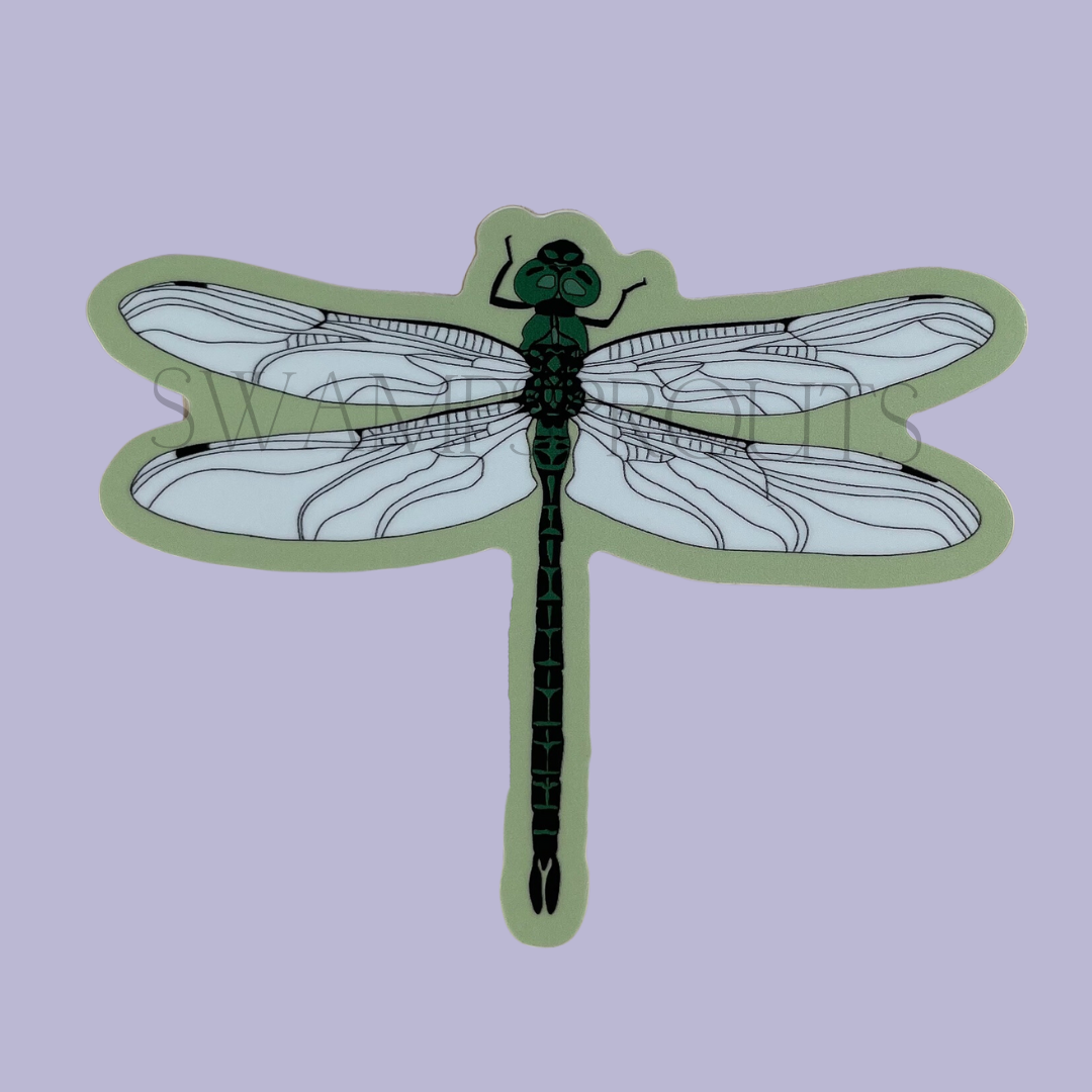 Dragonfly Vinyl Sticker