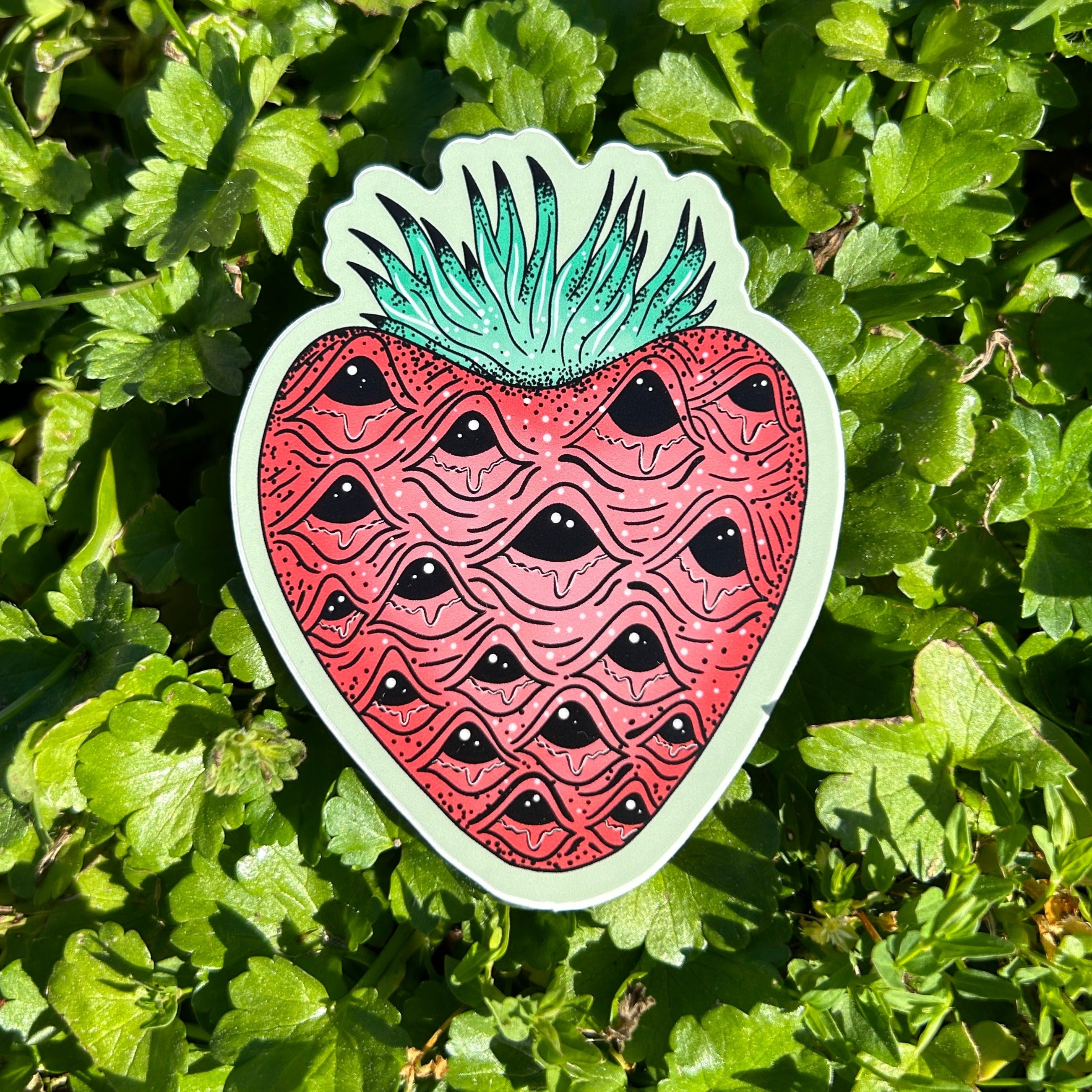 Louisiana Strawberry Sticker – Local Supply BR