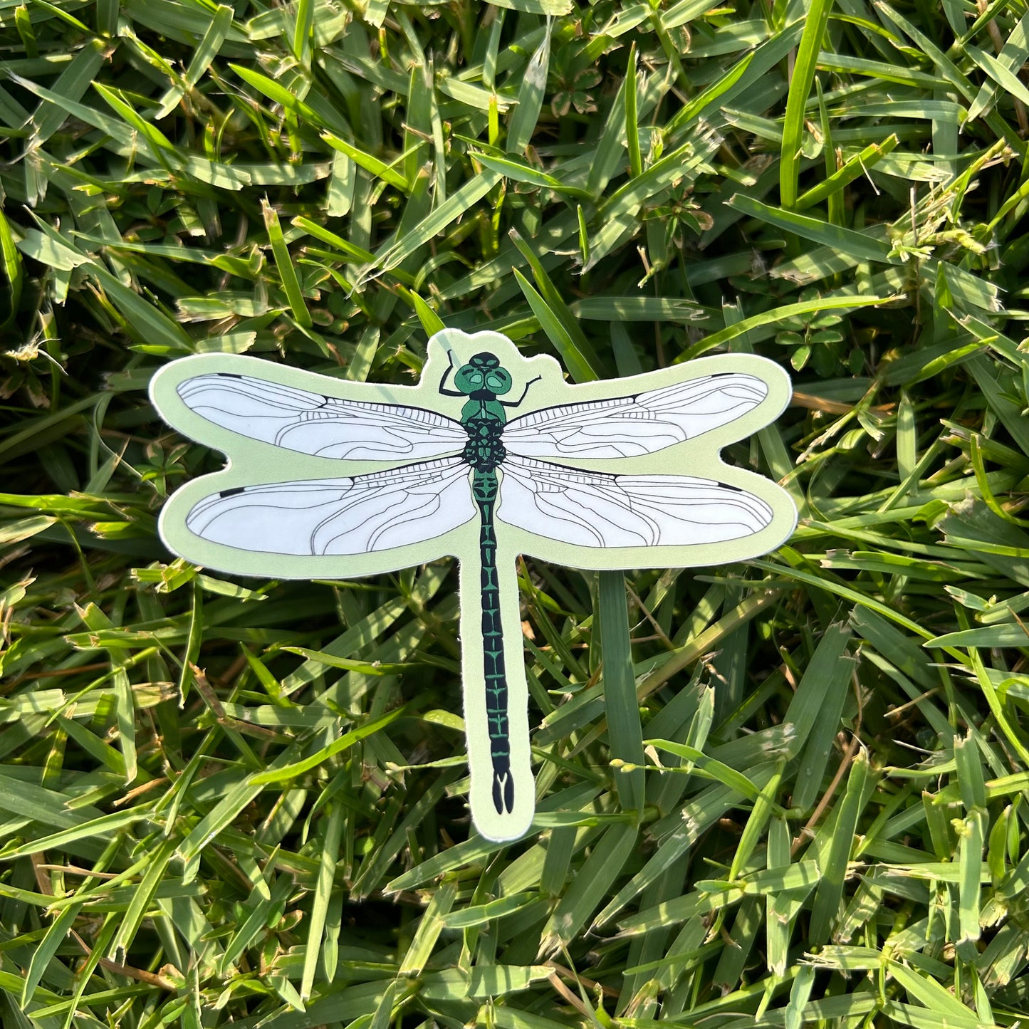 Dragonfly Vinyl Sticker