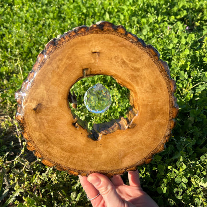 Sun Catcher Made From Repurposed Pine Tree