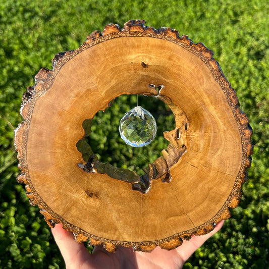 Sun Catcher Made From Repurposed Pine Tree