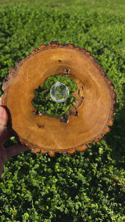 Sun Catcher Made From Repurposed Pine Tree