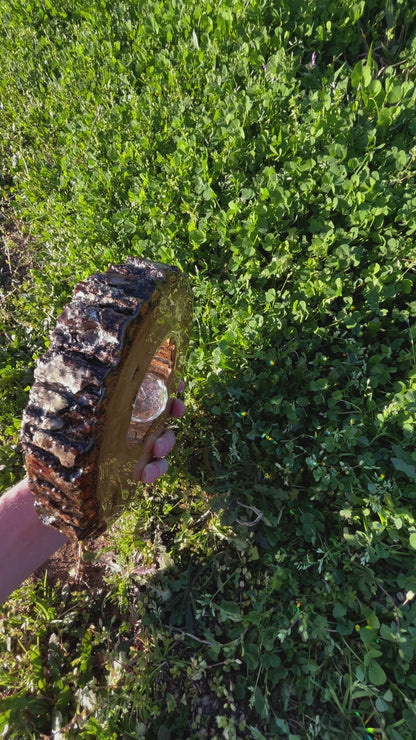 Sun Catcher Made From Repurposed Pine Tree